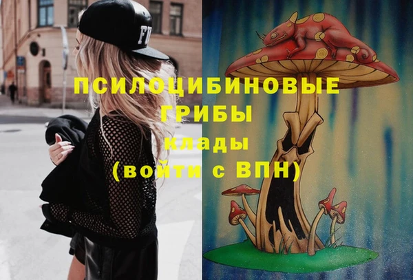 таблы Гусь-Хрустальный